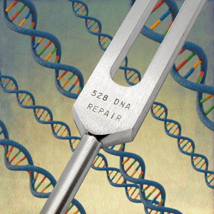 Buy 528 Hz DNA Repair Tuning Fork In USA | Pendulumsplus