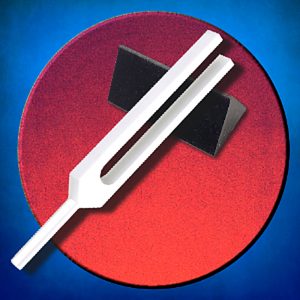 Pineal Gland Tuning Fork with Rubber Activator.