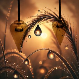 Teardrop Dewdrop Visualiztion.